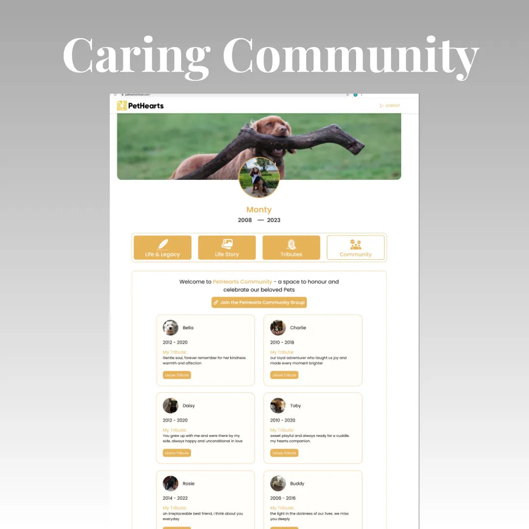 Forever Tribute Page (1 Year)