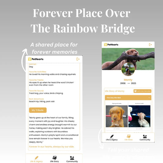 Forever Tribute Page (1 Year)